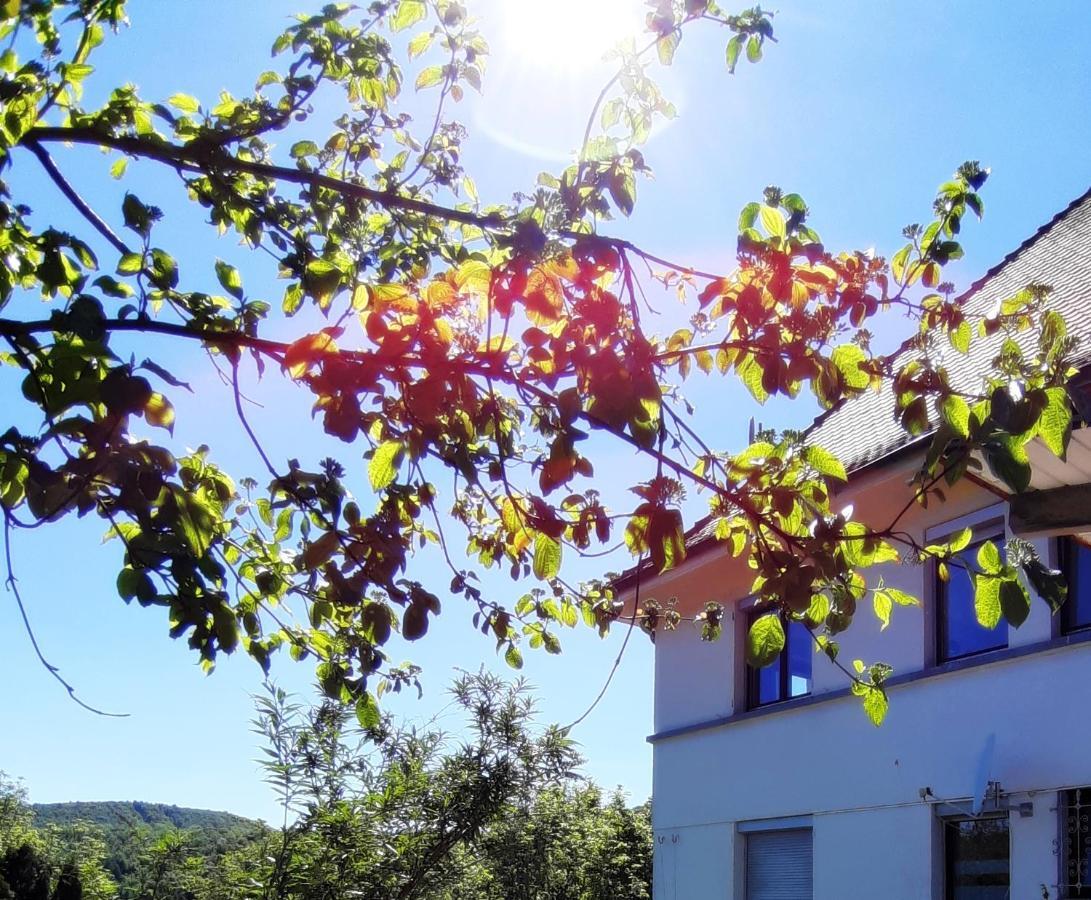 Ferienwohnung Albstadt Panorama ภายนอก รูปภาพ